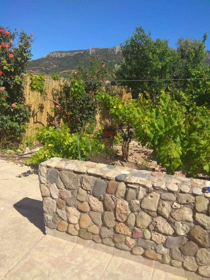 Pappadhiánika Philoxenia Holiday Home מראה חיצוני תמונה